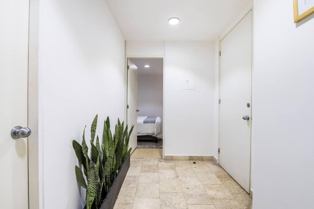 Loft Donceles 6 Cdmx! Leilighet Mexico by Eksteriør bilde